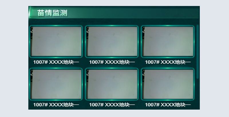 苗情监测.jpg