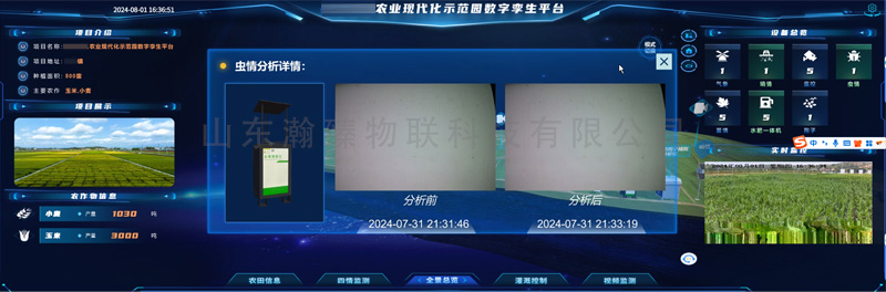 虫情1.jpg
